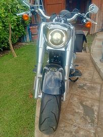 softail fat boy