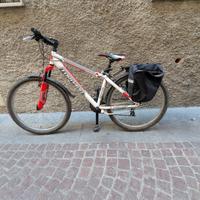 Mountain bike Torpedo - Cerchi 26"mi