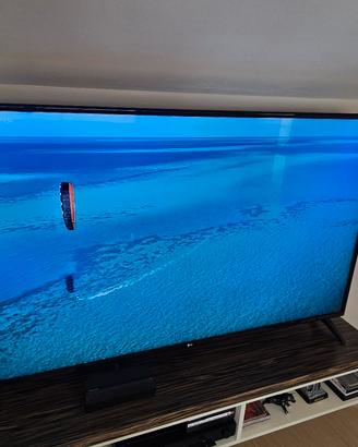 TV LG 65" 4K modello GOL65UM7000