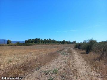 Terreno Loc. Tuerra Manna mq. 7415