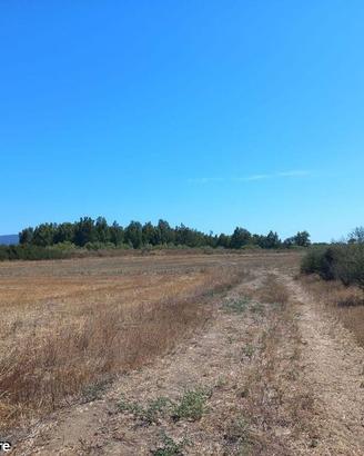 Terreno Loc. Tuerra Manna mq. 7415