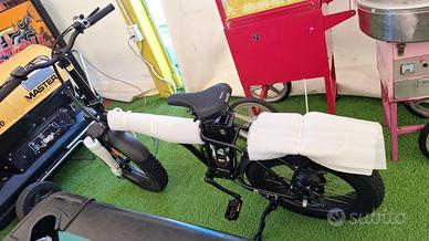 Bici elettrica