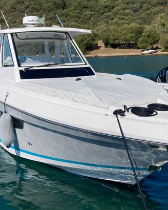 Motoryacht Regal SAV 33 - DayCruiser - Sport