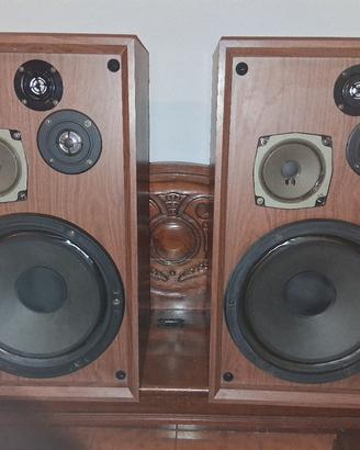 sistema sub satelliti jamo  e diffusori shakard. 