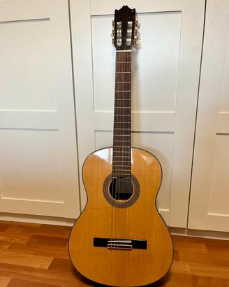 Chitarra classica ibanez