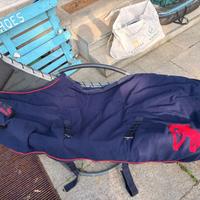 Pile blu per cavallo