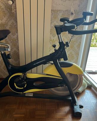 Cyclette Diarora nera e gialla