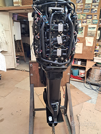 Motore mercury optimax