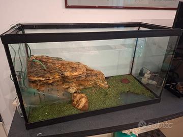 acquario