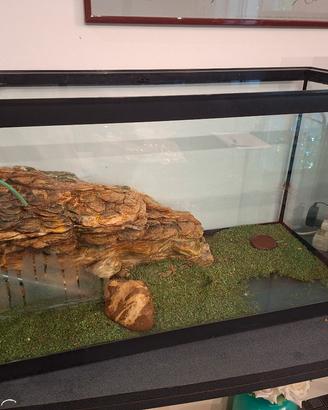 acquario