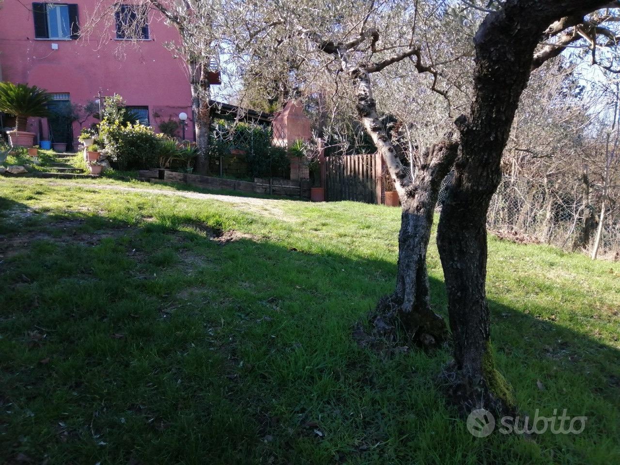 Casa – Avigliano Umbro, Dunarobba - Altro