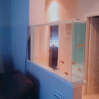 acquario stretto e lungo e alto 