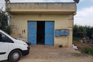 AGRUMETO fronte S.P. di Ha. 3.06.00