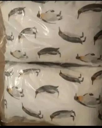 Cuscini fantasia soggetto pinguini