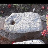 scifo e pietre con anello antiche