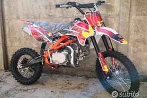 Nuove 2025 PITBIKE 125-140 17/14 REDBULL ktm cross