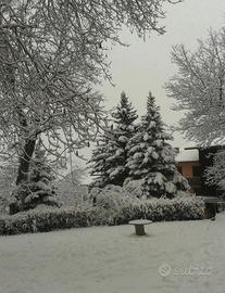 Appartamento inverno Sestola