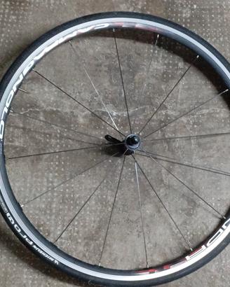 Ruote Campagnolo Zonda Mega G3 C17 