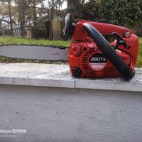 Motosega da potatura 