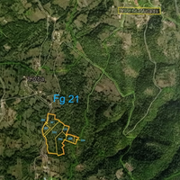 6 ettari con casetta di circa 50 mq