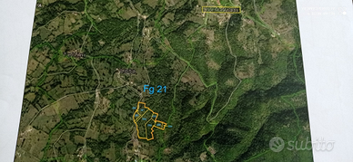 6 ettari con casetta di circa 50 mq