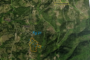 6 ettari con casetta di circa 50 mq