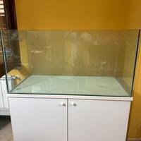 Acquario