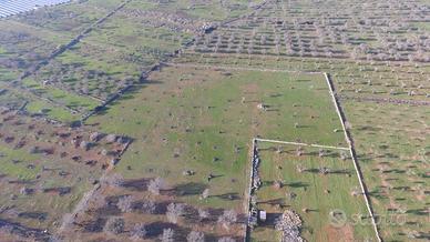 Terreno in Contrada "Molloni"