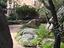 Immagine 20