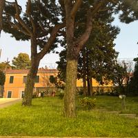 Traslochi ,sgomberi , pulizie rifiuti