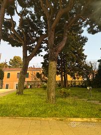 Traslochi ,sgomberi , pulizie rifiuti