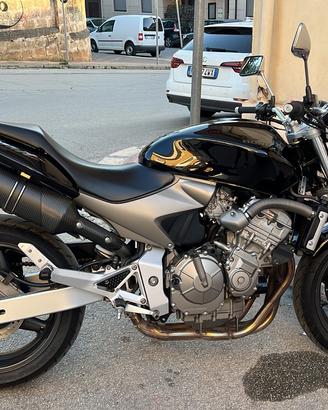 Hornet 600