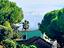 Immagine 7