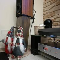 Sonus faber liuto monitor
