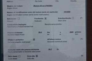 selva murena 40