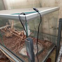 Terrario per Rettili 
