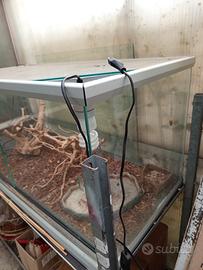 Terrario per Rettili 