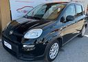 fiat-panda-1-0-firefly-s-s-hybrid-easy-neopatenati