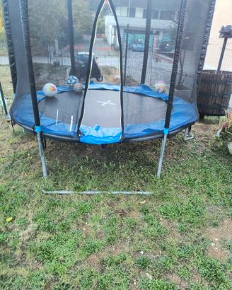 saltarello trampolino 