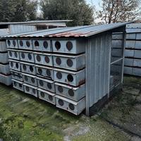 Gabbie per colombi o volatili in generale