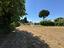 Immagine 9
