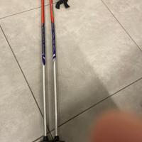 Bastoncini Sci DF Sport Specialist