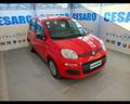 fiat-new-panda-1-0-firefly-hybrid-70cv-5-posti
