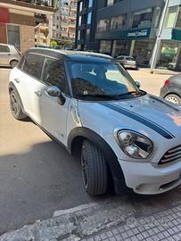 Miny countryman