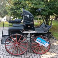 Carrozza cavalli motorizzata multiuso