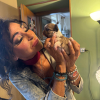 Metavigliosi gioielli