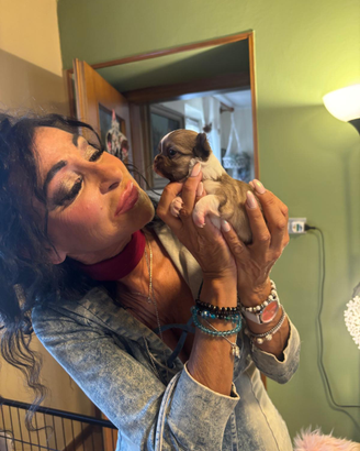 Metavigliosi gioielli