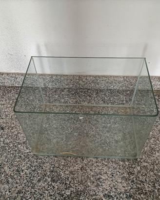 acquario per pesci rossi 