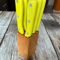 Ceppo con sei coltelli