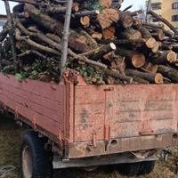 legna dà ardere sfusa o in bancale